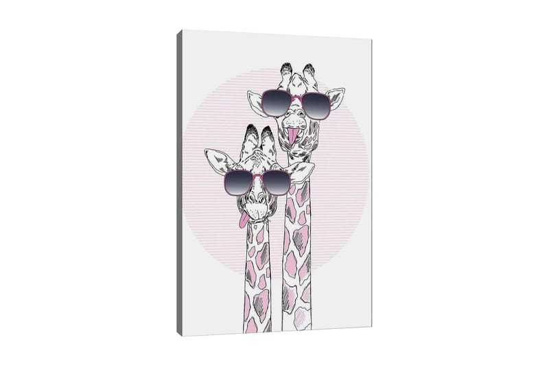 Lærred 70x100 cm - To giraffer med solbriller, der viser en legende og moderne stil, Lyserød / Sort / Hvid