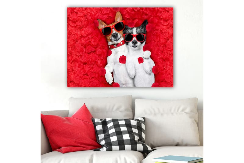 Lærred 70x100 cm - To hunde ligger sammen på en rød blomsterbaggrund, iført solbriller - Rød / Hvid / Sort - Boligtilbehør - Billeder & kunst - Billeder på lærred