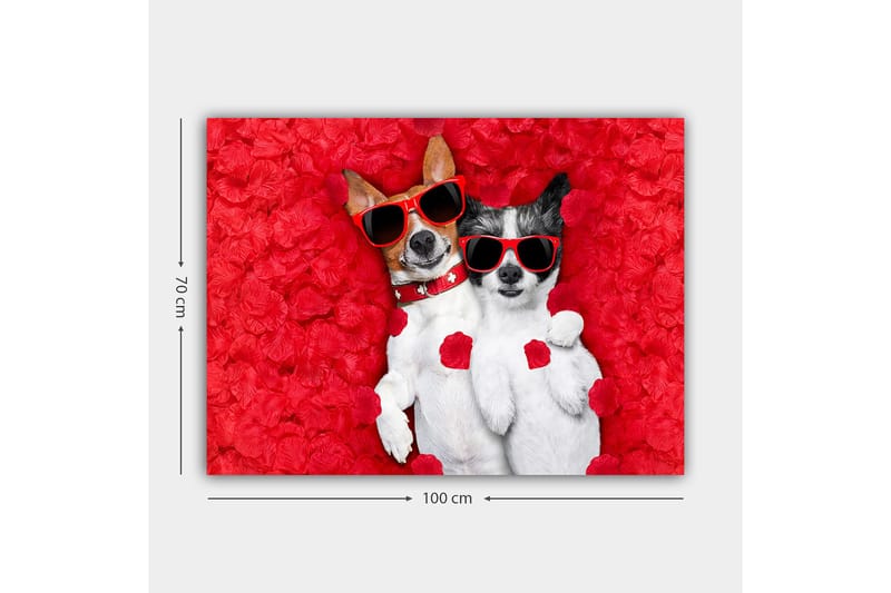 Lærred 70x100 cm - To hunde ligger sammen på en rød blomsterbaggrund, iført solbriller - Rød / Hvid / Sort - Boligtilbehør - Billeder & kunst - Billeder på lærred
