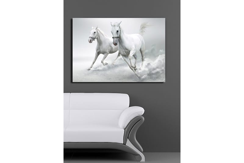 Lærred 70x100 cm - To hvide heste galoperer fremad i en dynamisk bevægelse - Hvid / Grå - Boligtilbehør - Billeder & kunst - Billeder på lærred