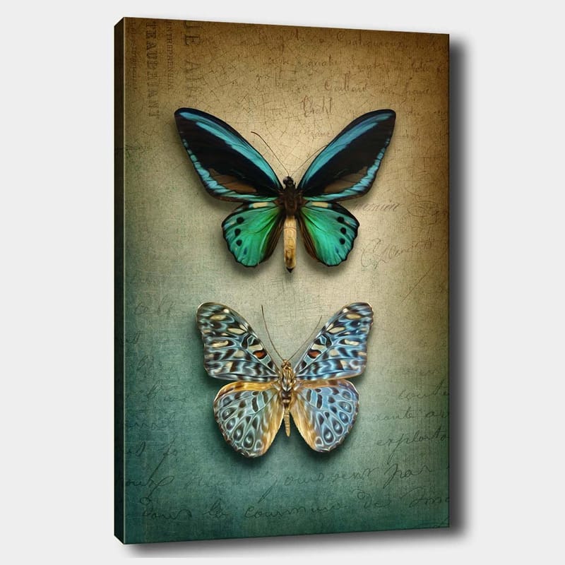 Lærred 70x100 cm - To smukke sommerfugle i en harmonisk komposition - Turkis / Grøn / Blå - Boligtilbehør - Billeder & kunst - Billeder på lærred