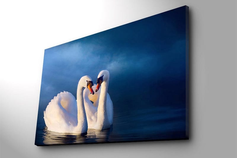 Lærred 70x100 cm - To svaner danner et hjerte med deres halse i en romantisk og fredelig atmosfære - Hvid / Mørkeblå - Boligtilbehør - Billeder & kunst - Billeder på lærred