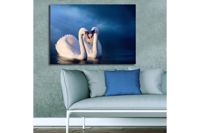 Lærred 70x100 cm - To svaner danner et hjerte med deres halse i en romantisk og fredelig atmosfære - Hvid / Mørkeblå - Boligtilbehør - Billeder & kunst - Billeder på lærred