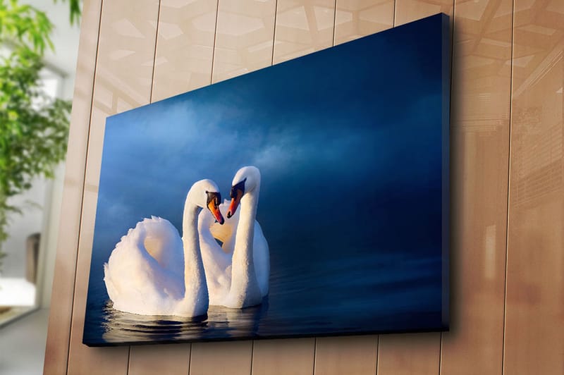 Lærred 70x100 cm - To svaner danner et hjerte med deres halse i en romantisk og fredelig atmosfære - Hvid / Mørkeblå - Boligtilbehør - Billeder & kunst - Billeder på lærred