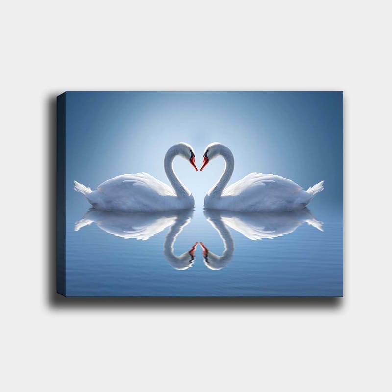 Lærred 70x100 cm - To svaner danner et hjerte med deres halse spejlvendt på vandet, Hvid / Rød / Blå