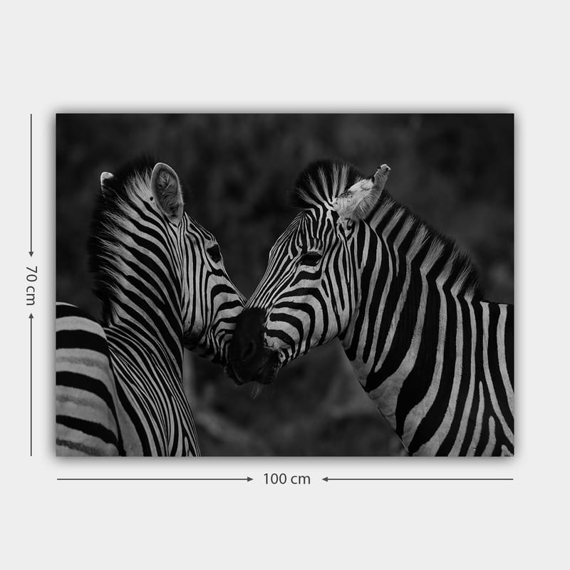 Lærred 70x100 cm - To zebraer står tæt på hinanden og viser deres fællesskab - Sort / Hvid - Boligtilbehør - Billeder & kunst - Billeder på lærred