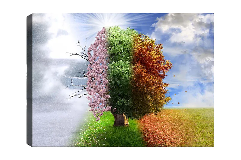 Lærred 70x100 cm - Træstruktur, der repræsenterer de fire årstider, fra vinter til forår, overgangen til sommer og efterår, Lyserød / Grøn / Orange