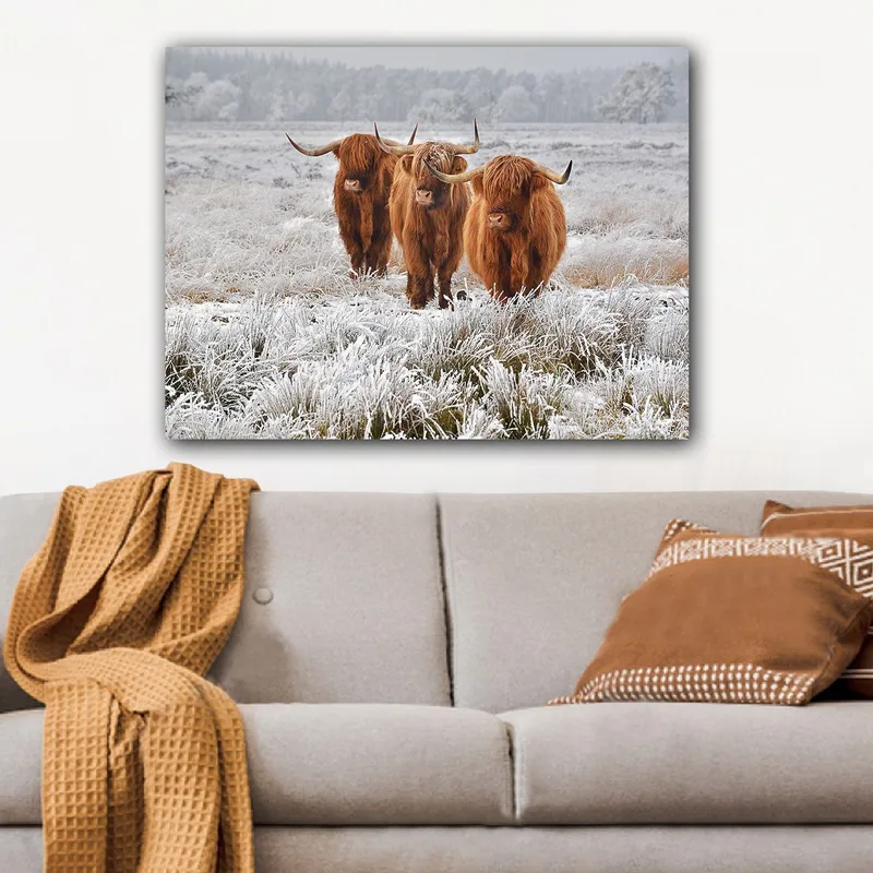 Lærred 70x100 cm - Tre højlandsfår i et frostklart landskab, Orange / Hvid / Grå