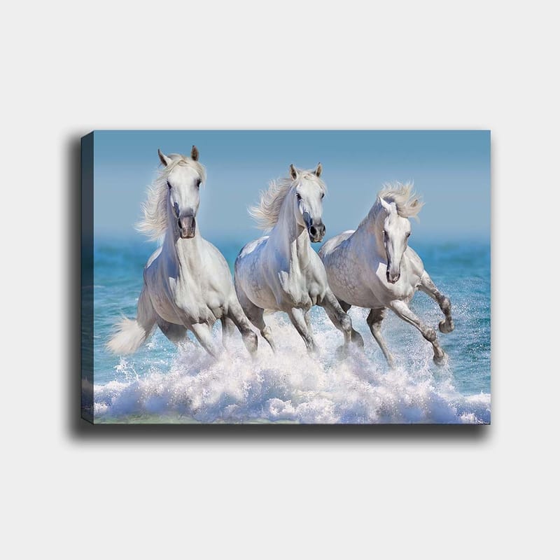 Lærred 70x100 cm - Tre hvide heste galoperer gennem bølgerne ved havet, Hvid / Lyseblå / Turkis