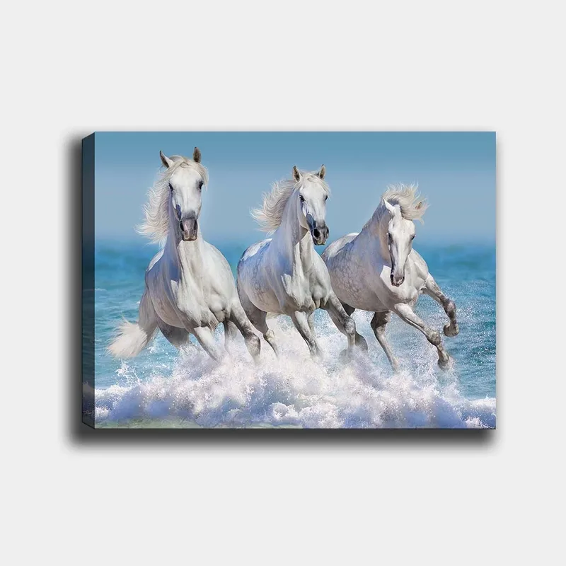 Lærred 70x100 cm - Tre hvide heste galoperer gennem bølgerne ved havet, Hvid / Lyseblå / Turkis