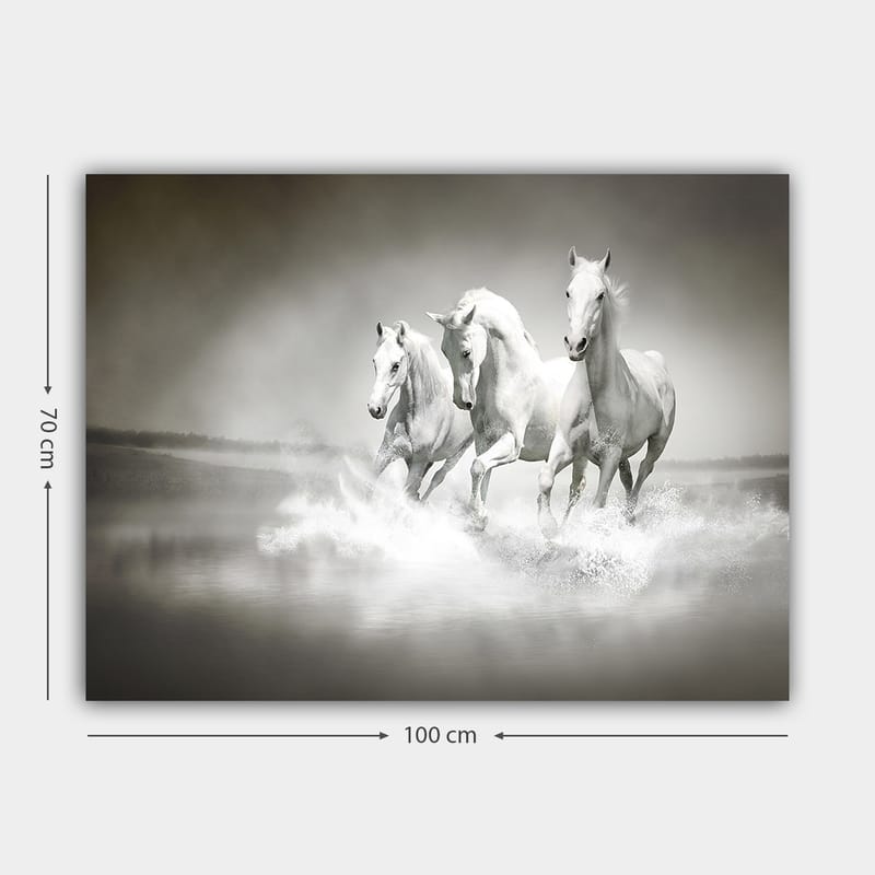 Lærred 70x100 cm - Tre hvide heste galoperer gennem vandet - Hvid / Grå - Boligtilbehør - Billeder & kunst - Billeder på lærred