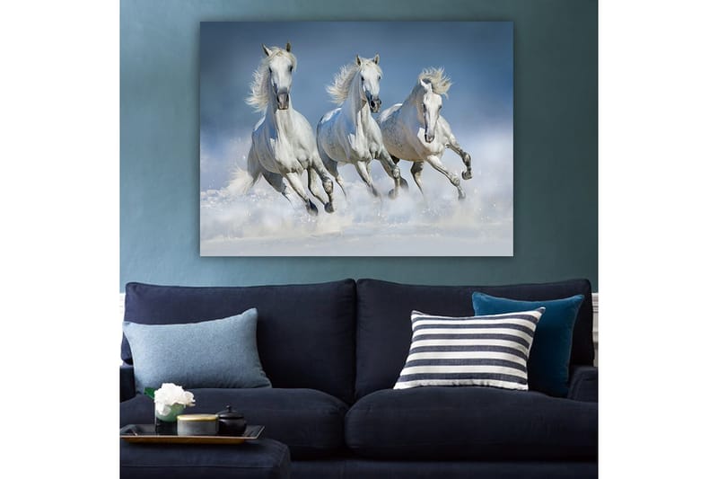 Lærred 70x100 cm - Tre hvide heste galoperer gennem vandet - Hvid / Lyseblå - Boligtilbehør - Billeder & kunst - Billeder på lærred