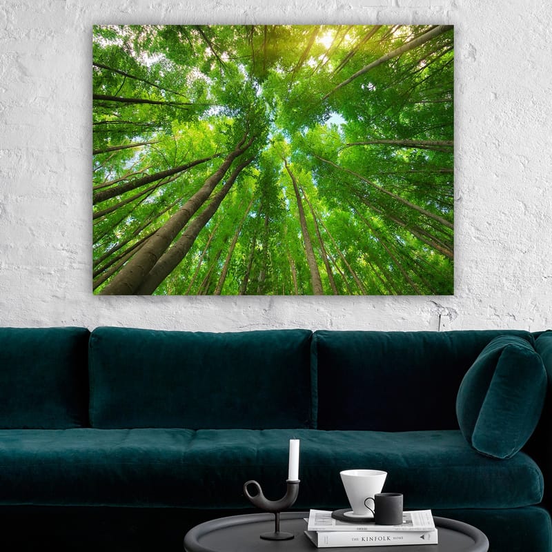 Lærred 70x100 cm - Udsigt over høje træer set fra jorden, der strækker sig mod en klar himmel - Grøn / Brun - Boligtilbehør - Billeder & kunst - Billeder på lærred