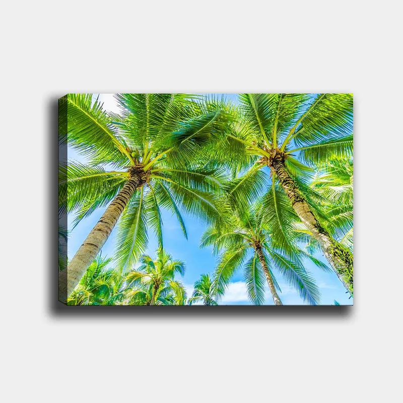 Lærred 70x100 cm - Udsigt over høje palmer, der strækker sig mod en klar blå himmel, Grøn / Blå