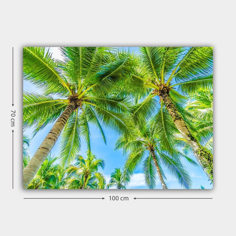 Lærred 70x100 cm - Udsigt over høje palmer, der strækker sig mod en klar blå himmel - Grøn / Blå - Boligtilbehør - Billeder & kunst - Billeder på lærred