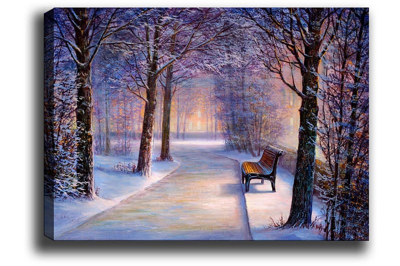 Lærred 70x100 cm - Vintervandring med snedækkede træer og en ensom bænk langs en sti - Blå / Hvid / Grå - Boligtilbehør - Billeder & kunst - Billeder på lærred