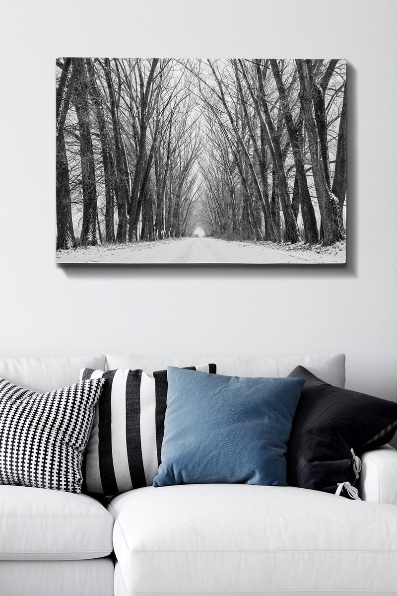Lærred 70x100 cm - Vintervej omgivet af bare træer, der skaber en stemningsfuld og fredelig atmosfære - Sort / Hvid / Grå - Boligtilbehør - Billeder & kunst - Billeder på lærred
