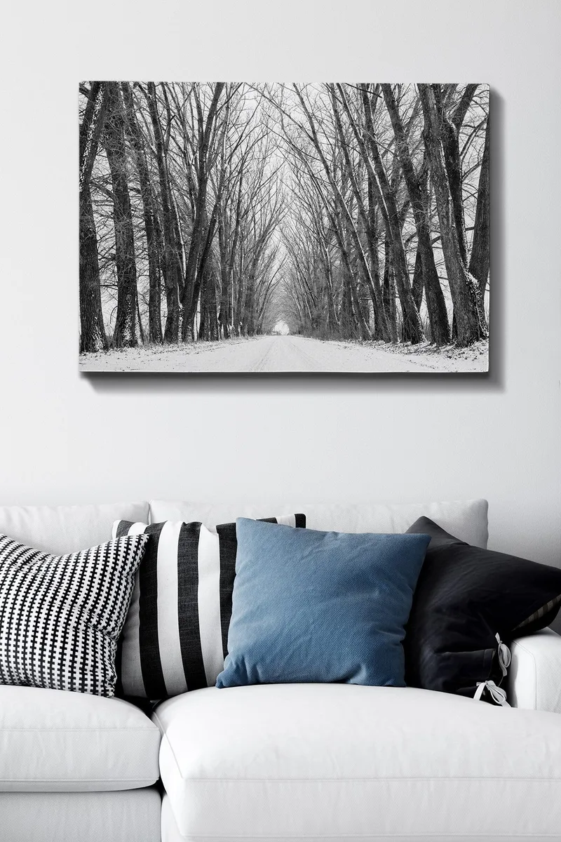 Lærred 70x100 cm - Vintervej omgivet af bare træer, der skaber en stemningsfuld og fredelig atmosfære - Sort / Hvid / Grå - Boligtilbehør - Billeder & kunst - Billeder på lærred