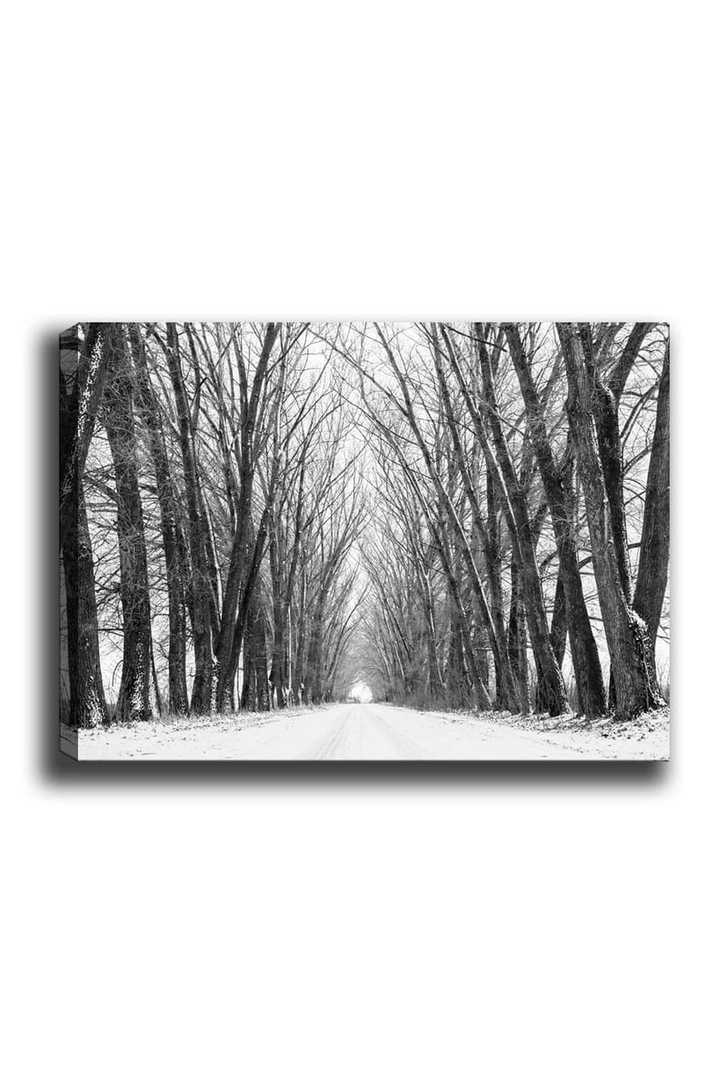Lærred 70x100 cm - Vintervej omgivet af bare træer, der skaber en stemningsfuld og fredelig atmosfære, Sort / Hvid / Grå