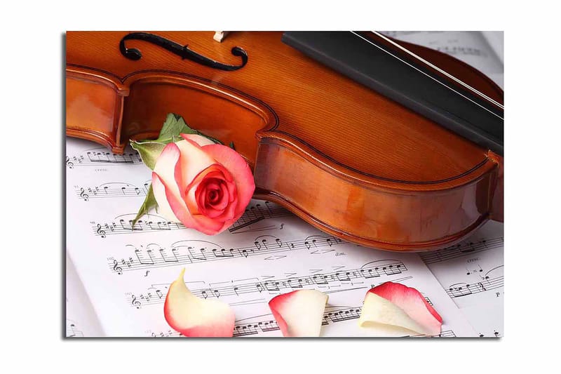 Lærred 70x100 cm - Violin med en rose og rosenblade på et nodeark, Rød / Beige / Brun