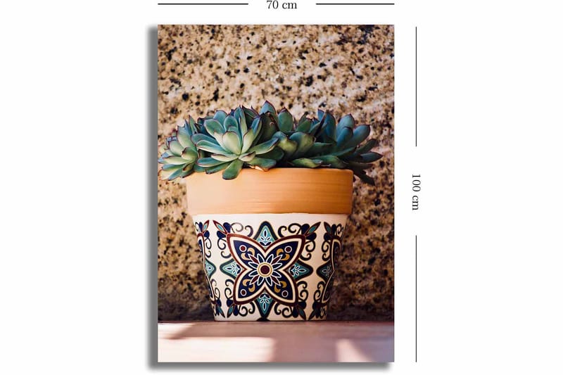 Lærred 70x100 cm - Potte med sukkulenter i dekorativt design - Grøn / Terrakotta / Sort - Boligtilbehør - Billeder & kunst - Billeder på lærred