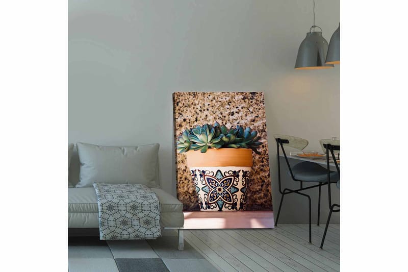 Lærred 70x100 cm - Potte med sukkulenter i dekorativt design, Grøn / Terrakotta / Sort