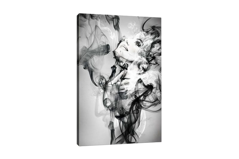Lærredsbillede - Abstrakt portræt af en kvinde omgivet af røgede former, Sort / Hvid / Grå