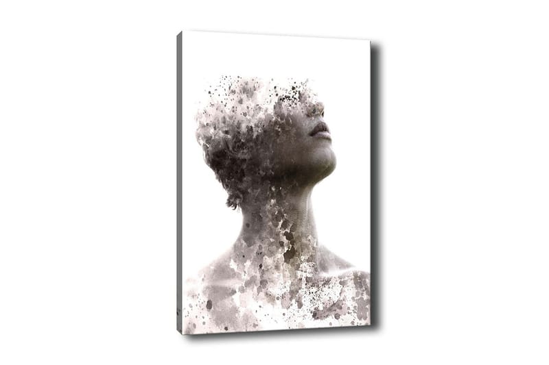 Lærredsbillede - Abstrakt portræt med fragmenteret ansigtsstruktur, Grå / Sort