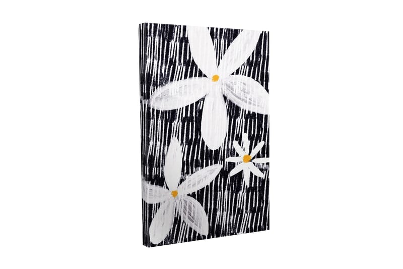 Lærredsbillede - Blomster i hvidt og gult mod en sort baggrund, Hvid / Sort / Gul