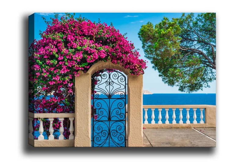 Lærredsbillede - Blomstrende bougainvillea ved en smedejernsport med havudsigt, Lyserød / Blå / Grøn
