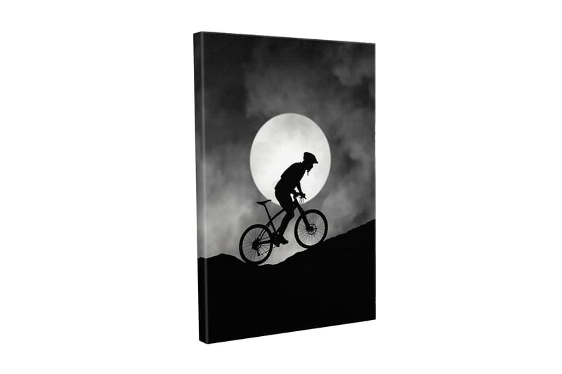 Lærredsbillede - Cyklist klatrer op ad en bakke under en stor måne, Sort / Grå
