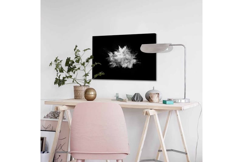Lærredsbillede - Dramatisk sky af pulver eksploderer mod en sort baggrund - Hvid / Sort - Boligtilbehør - Billeder & kunst - Billeder på lærred