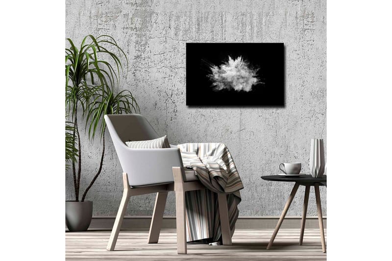 Lærredsbillede - Dramatisk sky af pulver eksploderer mod en sort baggrund - Hvid / Sort - Boligtilbehør - Billeder & kunst - Billeder på lærred
