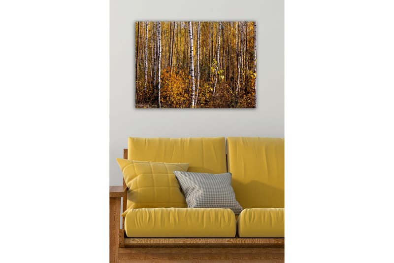 Lærredsbillede - Efterårsskov med birketræer og gyldne blade - Guld / Hvid / Brun - Boligtilbehør - Billeder & kunst - Billeder på lærred