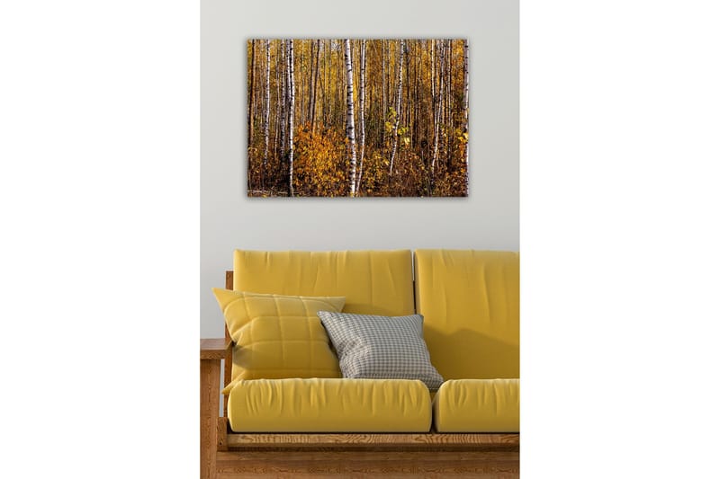 Lærredsbillede - Efterårsskov med birketræer og gyldne blade - Guld / Hvid / Brun - Boligtilbehør - Billeder & kunst - Billeder på lærred
