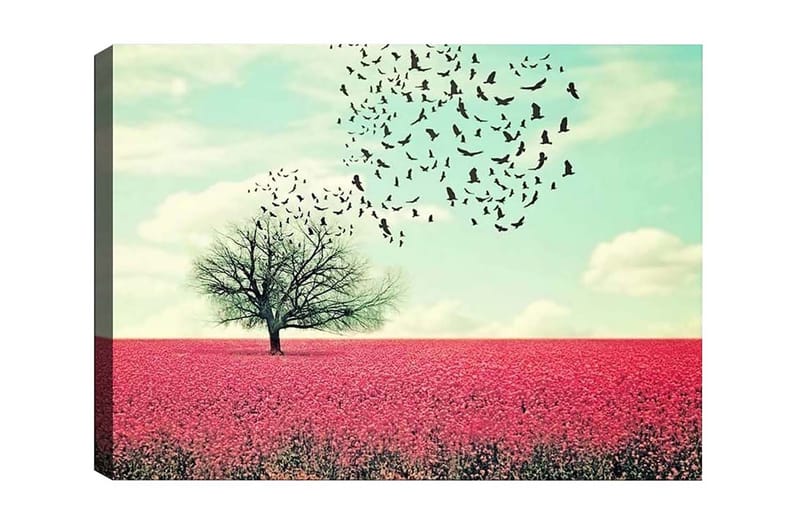 Lærredsbillede - Ensom trækrone i en blomstrende mark med lyserøde blomster, Lyserød / Himmelblå / Sort