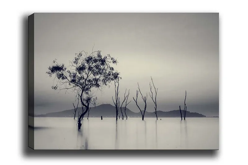 Lærredsbillede - Ensomt træ i tåget vandlandskab, Sort / Grå / Hvid