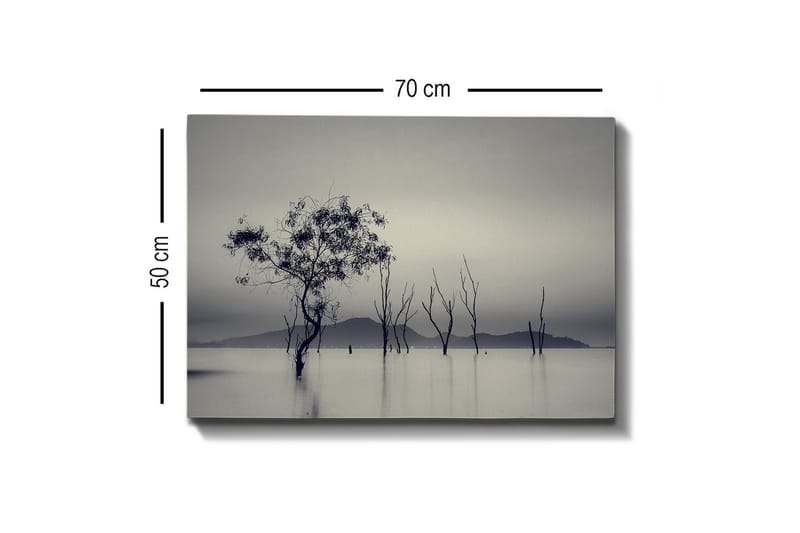 Lærredsbillede - Ensomt træ i tåget vandlandskab - Sort / Grå / Hvid - Boligtilbehør - Billeder & kunst - Billeder på lærred