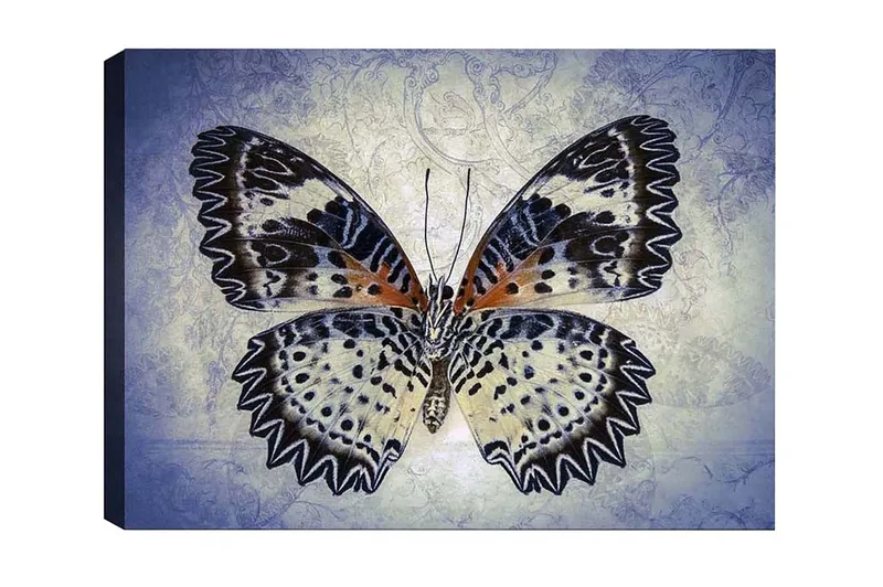 Lærredsbillede - Farverig sommerfugl med detaljerede vinger, Blå / Sort / Orange