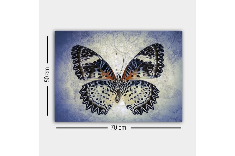 Lærredsbillede - Farverig sommerfugl med detaljerede vinger - Blå / Sort / Orange - Boligtilbehør - Billeder & kunst - Billeder på lærred