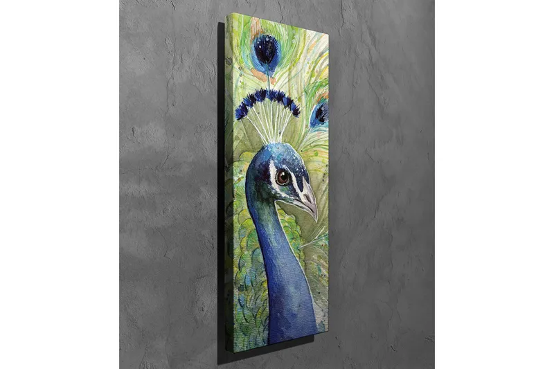 Lærredsbillede - Farverig påfugl med udsmykket fjerdragt - Blå / Grøn / Sort - Boligtilbehør - Billeder & kunst - Billeder på lærred