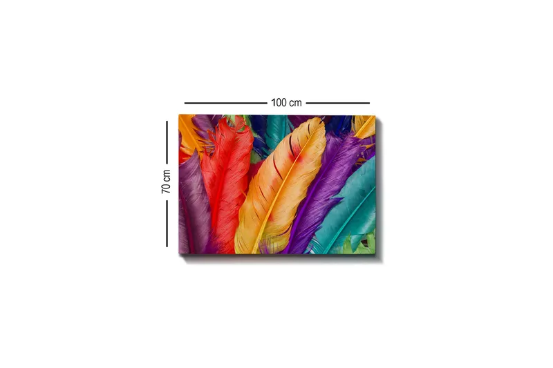 Lærredsbillede - Farverige fjer i forskellige nuancer - Rød / Lilla / Orange - Boligtilbehør - Billeder & kunst - Billeder på lærred