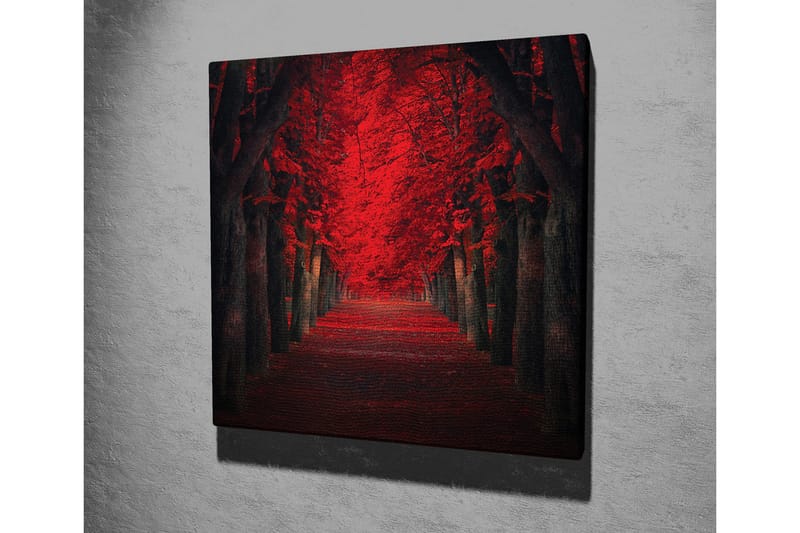 Lærredsbillede - Frodig allé med intenst røde træer i efterårsfarver - Rød / Sort - Boligtilbehør - Billeder & kunst - Billeder på lærred