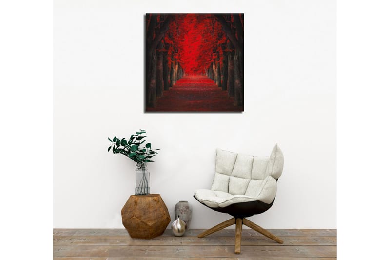 Lærredsbillede - Frodig allé med intenst røde træer i efterårsfarver - Rød / Sort - Boligtilbehør - Billeder & kunst - Billeder på lærred