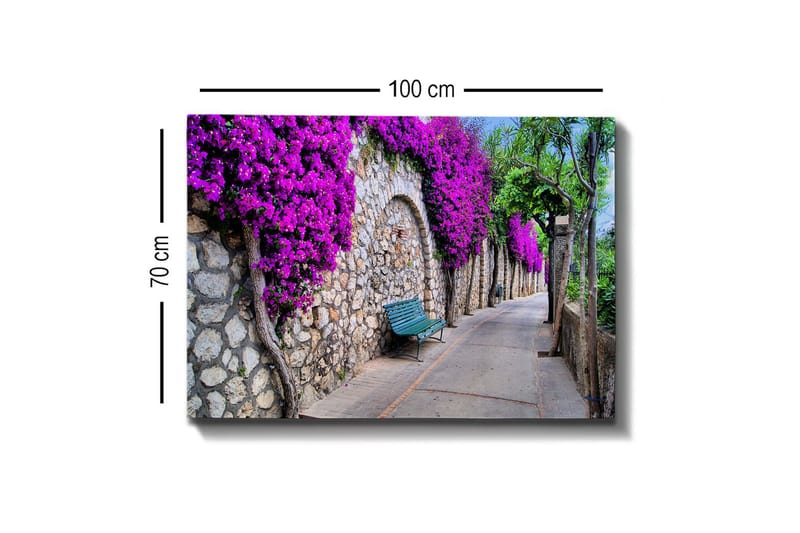 Lærredsbillede - Frodig gangsti omgivet af blomstrende bougainvillea - Lilla / Grå / Grøn - Boligtilbehør - Billeder & kunst - Billeder på lærred