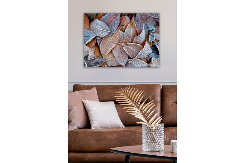 Lærredsbillede - Frosne efterårsblade i varme nuancer - Orange / Grå / Hvid - Boligtilbehør - Billeder & kunst - Billeder på lærred