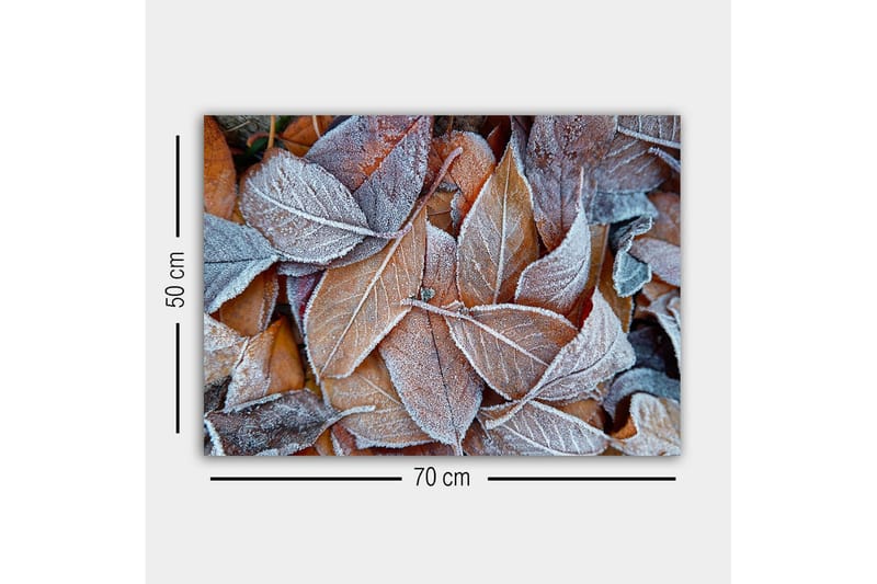Lærredsbillede - Frosne efterårsblade i varme nuancer - Orange / Grå / Hvid - Boligtilbehør - Billeder & kunst - Billeder på lærred