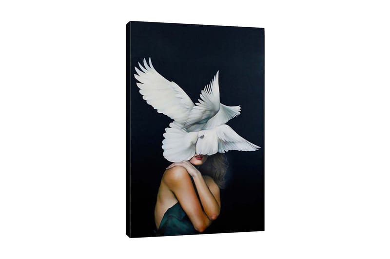 Lærredsbillede - Fugle svæver over en kvinde med en bar skulder, Hvid / Sort / Hudfarve