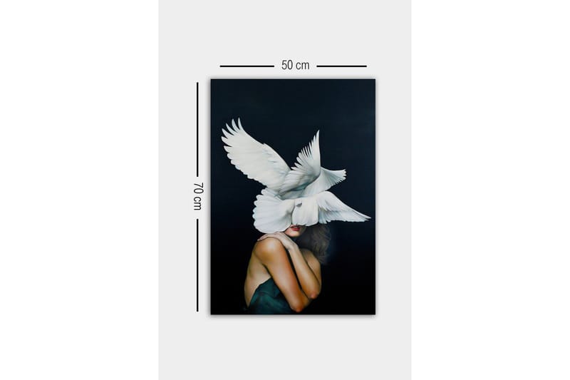Lærredsbillede - Fugle svæver over en kvinde med en bar skulder - Hvid / Sort / Hudfarve - Boligtilbehør - Billeder & kunst - Billeder på lærred