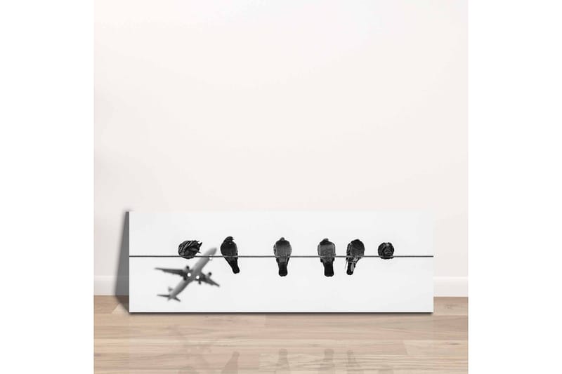 Lærredsbillede - Fugle på en wire med et fly i baggrunden - Sort / Hvid - Boligtilbehør - Billeder & kunst - Billeder på lærred